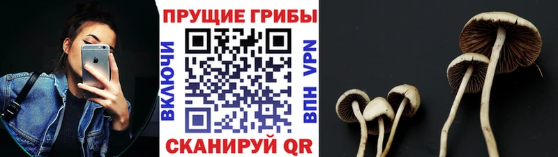 Галлюциногенные грибы прущие грибы магазин наркотиков Нерюнгри