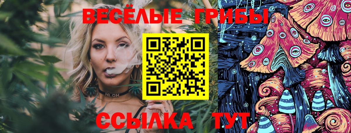 Псилоцибиновые грибы мицелий Нерюнгри