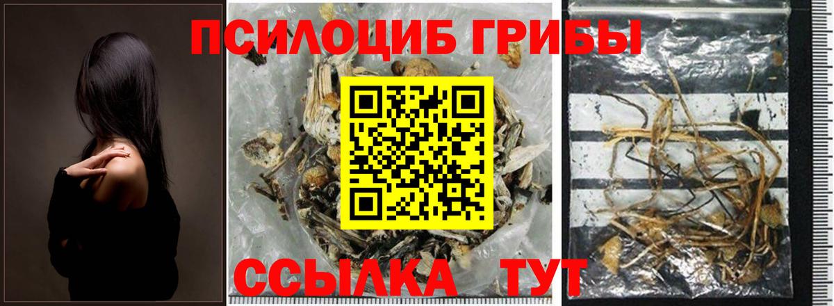 Галлюциногенные грибы прущие грибы  Вход с VPN  Нерюнгри  Псилоцибиновые грибы Magic Shrooms 